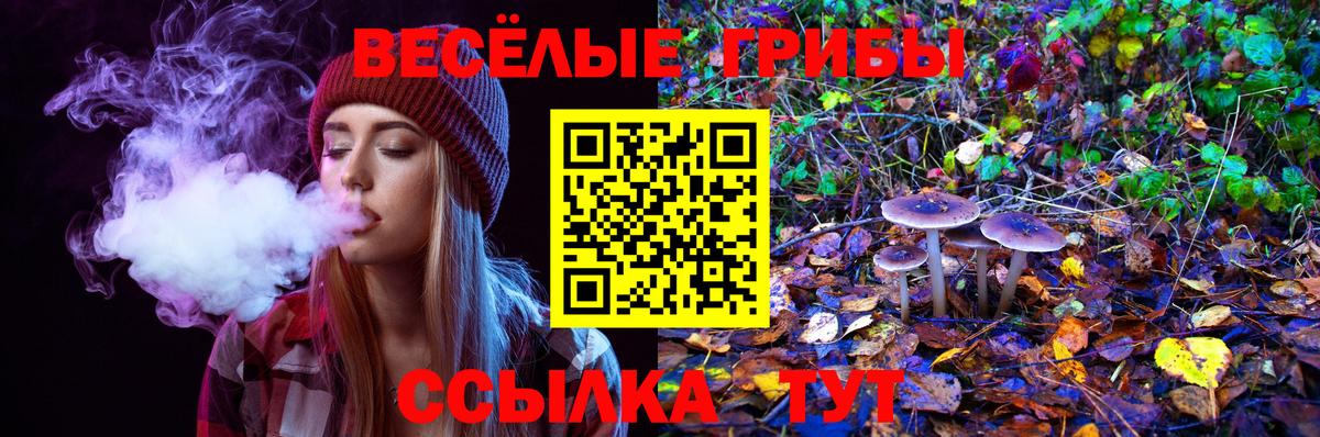 Михайловск  где купить   Вход с VPN  Галлюциногенные грибы Magic Shrooms 